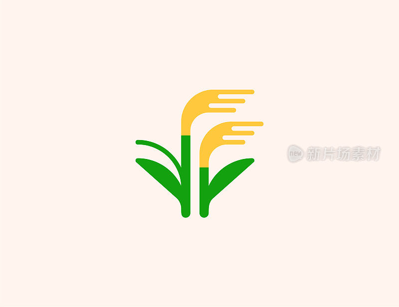 Rice plant vector icon. Isolated Shear of Rice, Crop, Wheat flat colored symbol - Vector